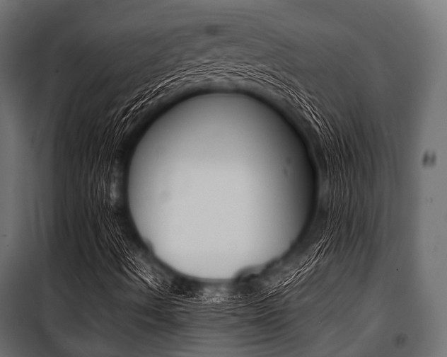X0000100881490200806201134