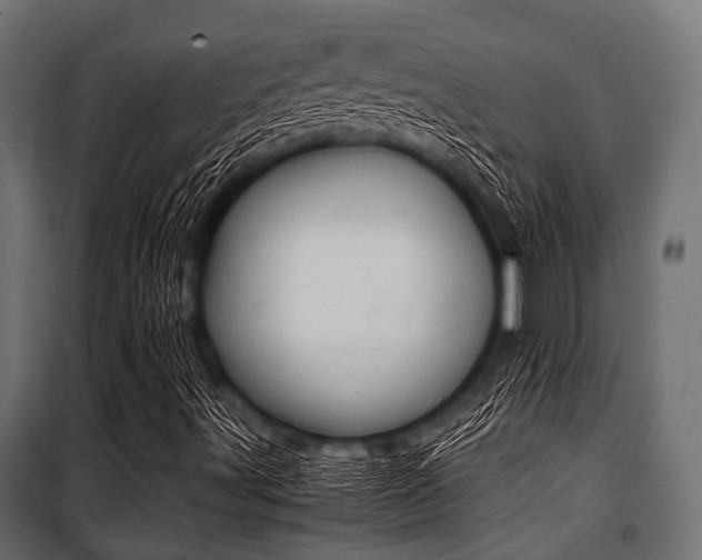 X0000100881491200806201134