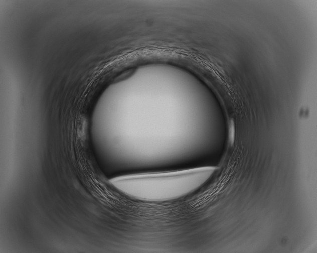 X0000100881492200806201134