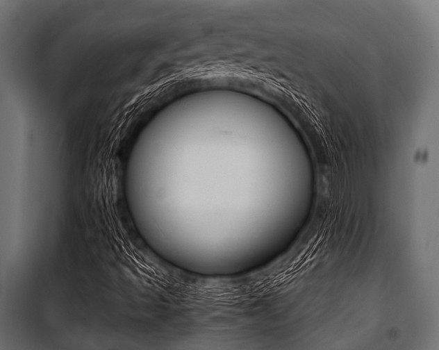 X0000100881493200806201134