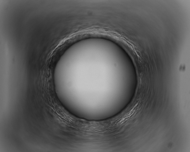 X0000100881494200806201134
