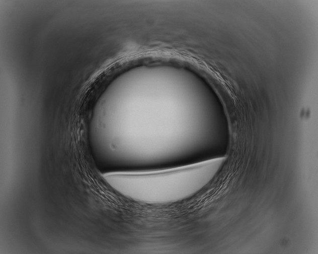 X0000100881495200806201134