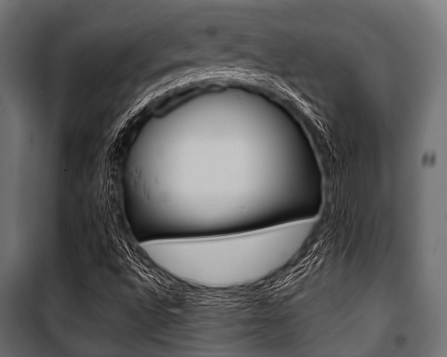 X0000100881496200806201134