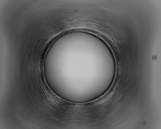 X0000100881497200806201134