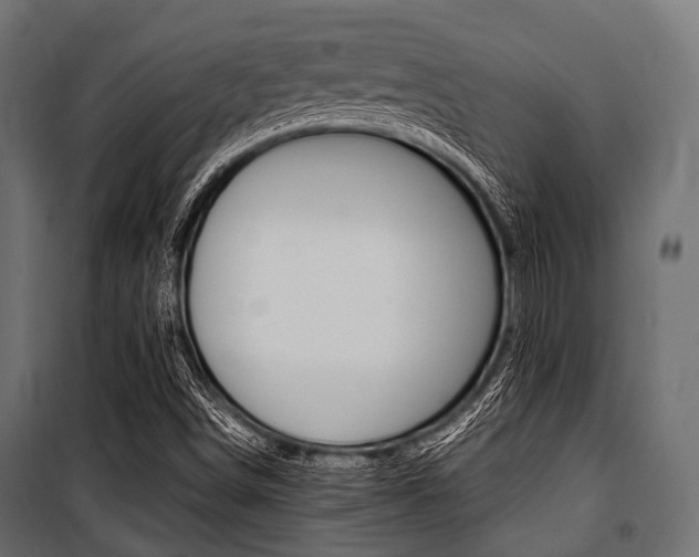 X0000100881498200806201134
