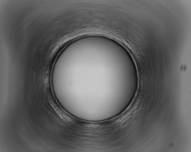 X0000100881499200806201134