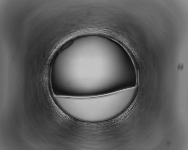 X0000100881500200806201134