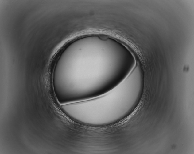 X0000100881502200806201134