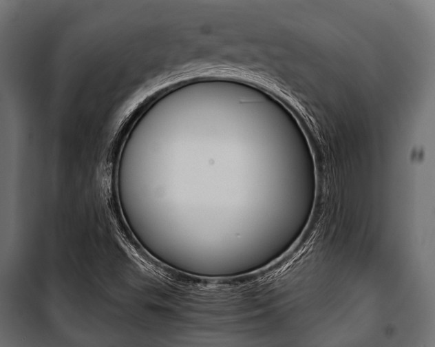 X0000100881503200806201134