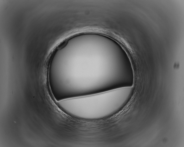 X0000100881504200806201134