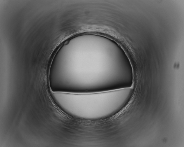 X0000100881505200806201134