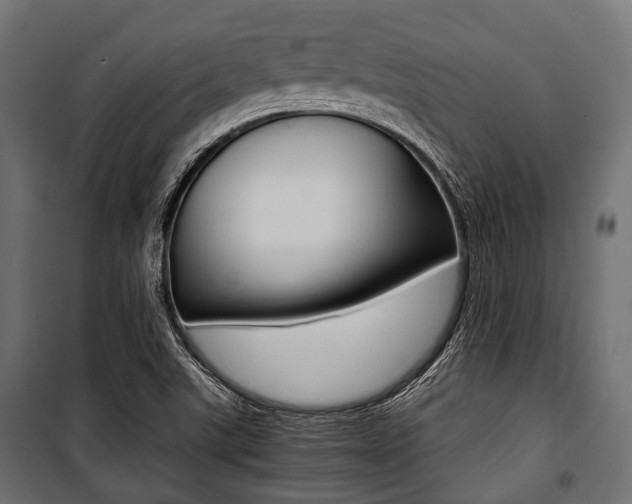 X0000100881507200806201134