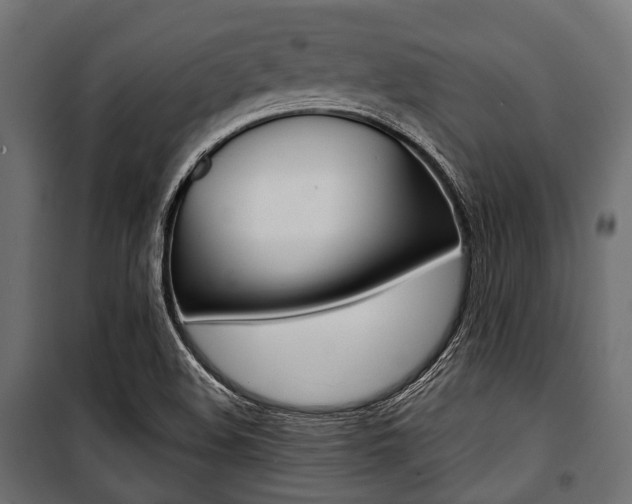 X0000100881508200806201134