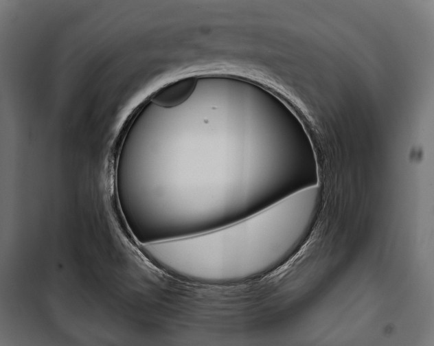 X0000100881510200806201134