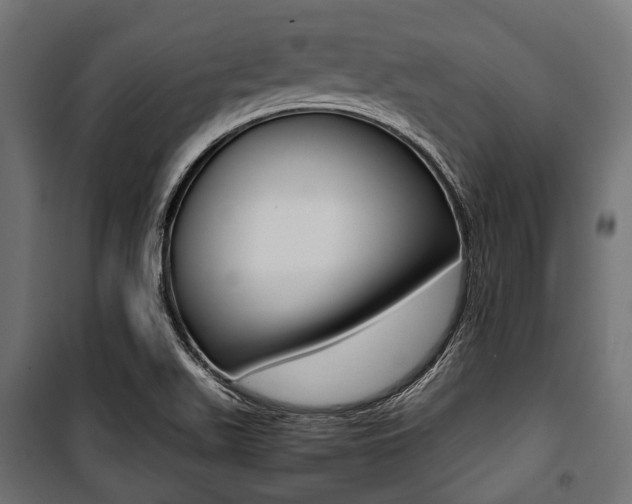 X0000100881511200806201134