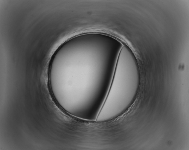 X0000100881512200806201134