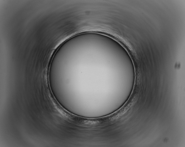 X0000100881513200806201134