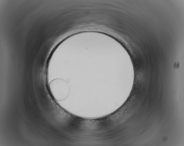 X0000100881514200806201134