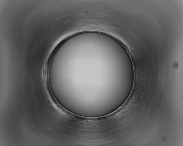 X0000100881515200806201134