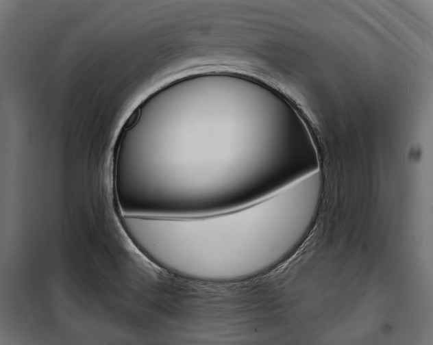 X0000100881516200806201135