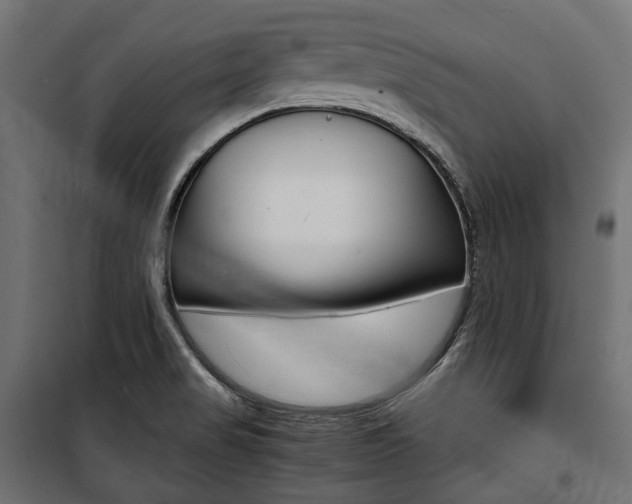 X0000100881517200806201135