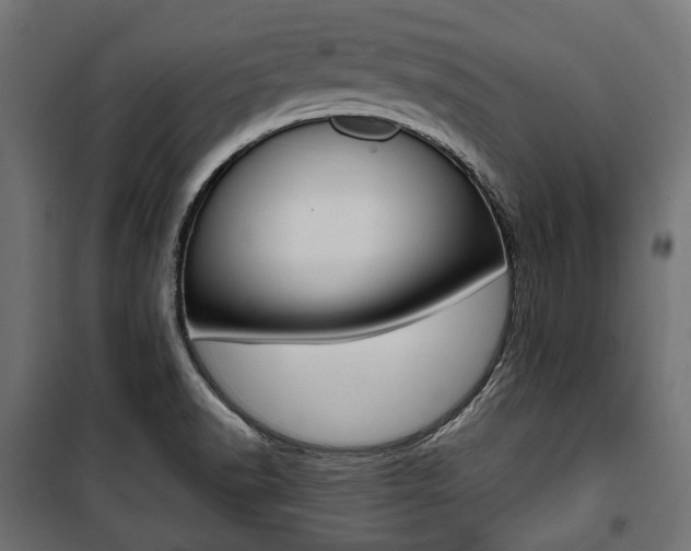 X0000100881518200806201135