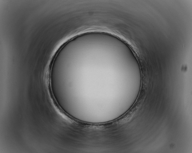 X0000100881519200806201135