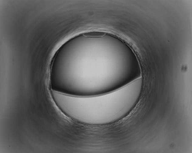 X0000100881520200806201135