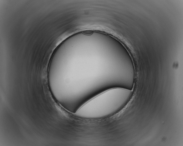 X0000100881521200806201135