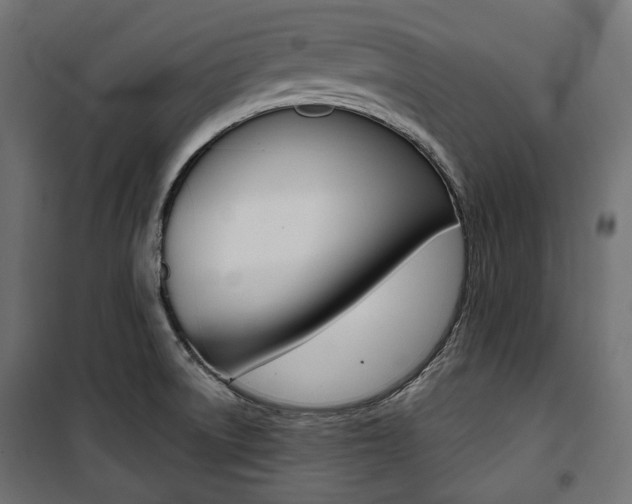 X0000100881522200806201135