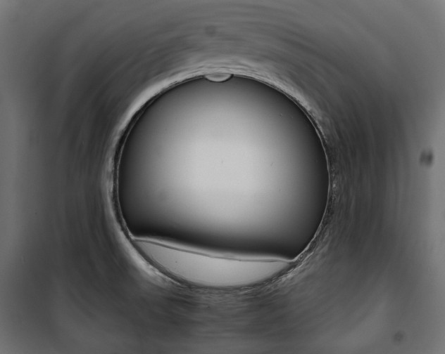 X0000100881523200806201135
