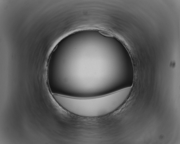 X0000100881524200806201135