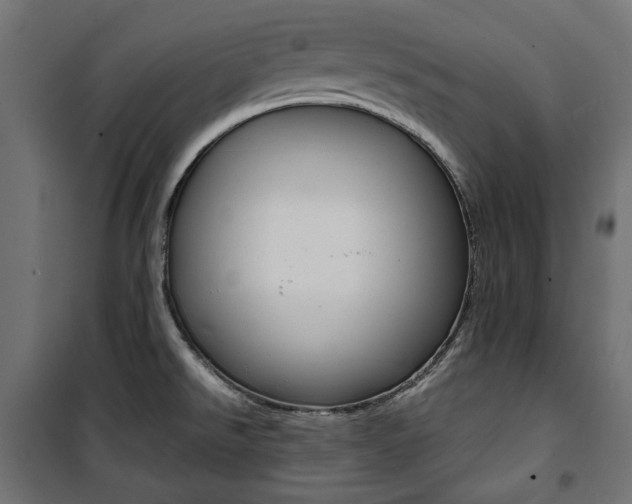 X0000100881526200806201135