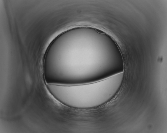 X0000100881527200806201135