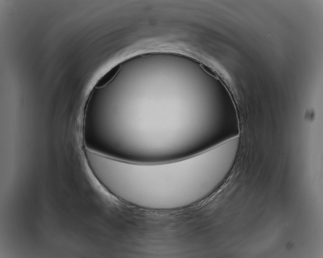 X0000100881528200806201135
