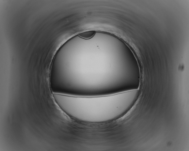 X0000100881529200806201135