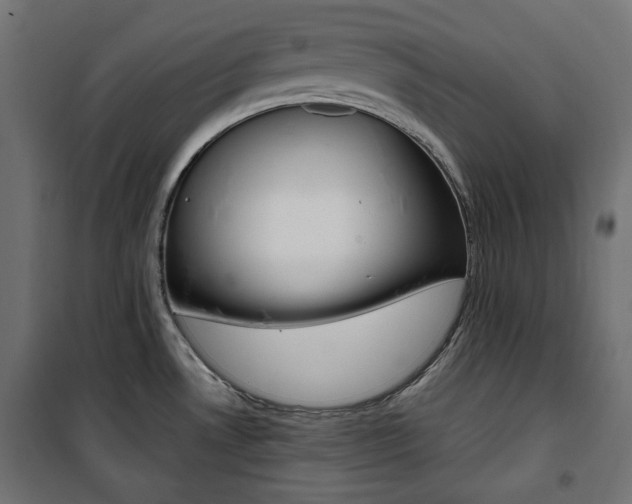 X0000100881530200806201135