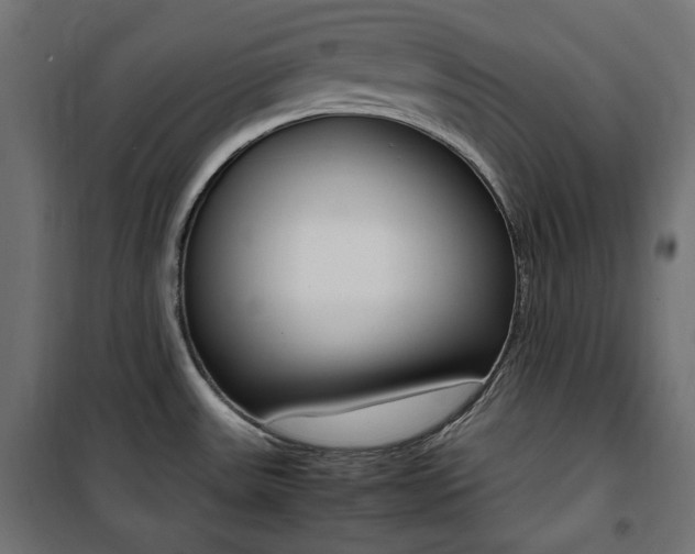 X0000100881531200806201135