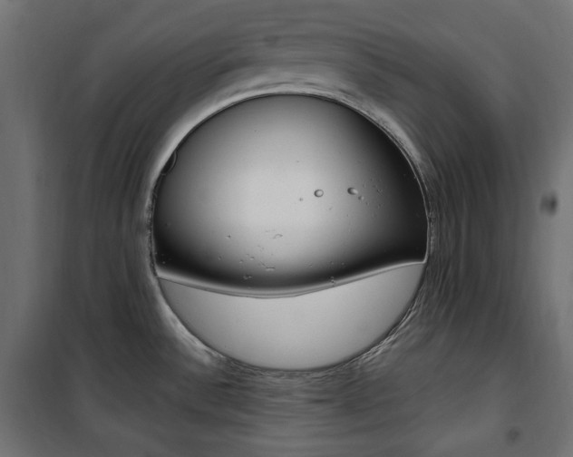 X0000100881532200806201135