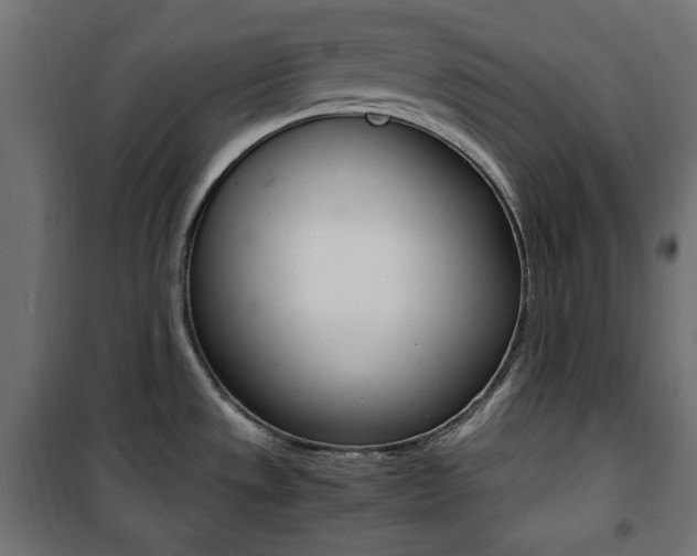 X0000100881533200806201135