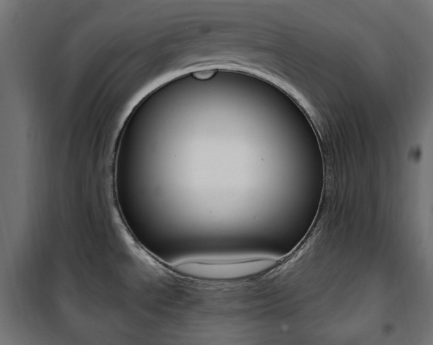 X0000100881534200806201135