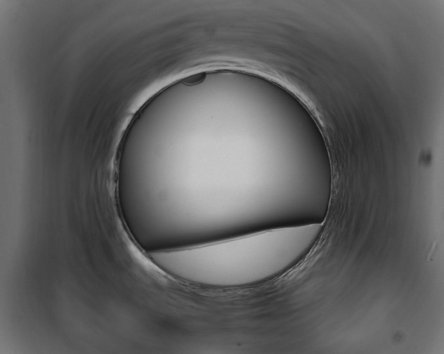 X0000100881535200806201135