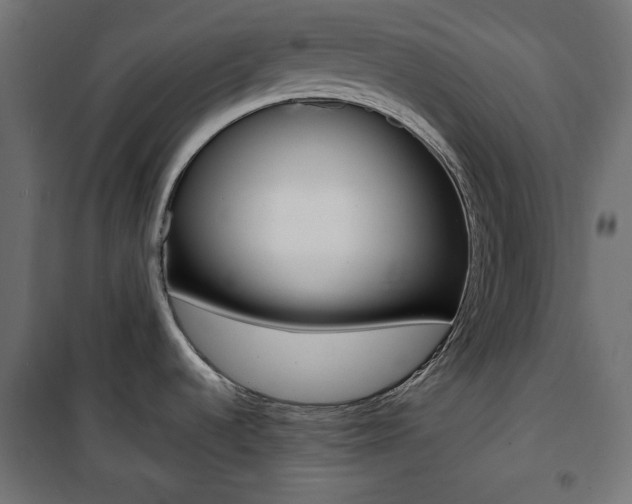 X0000100881536200806201135