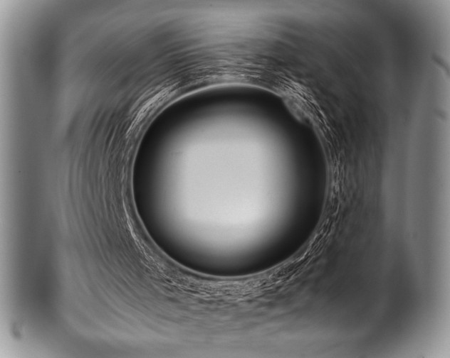 X0000100880001200806201256