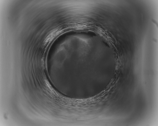 X0000100880002200806201256