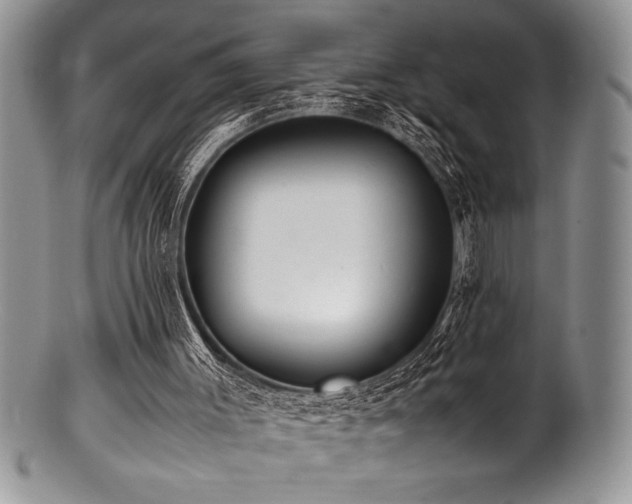 X0000100880003200806201256