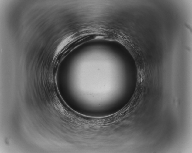 X0000100880004200806201256