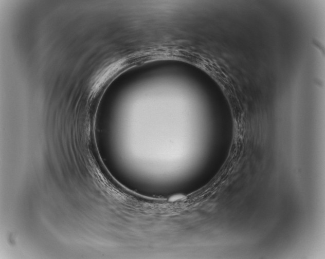 X0000100880005200806201256