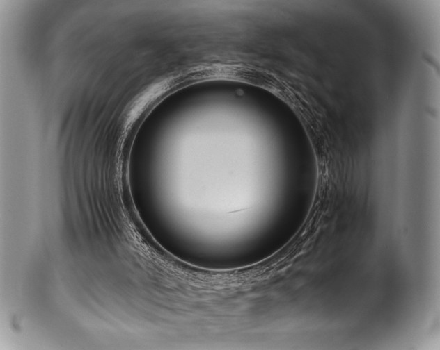 X0000100880006200806201256