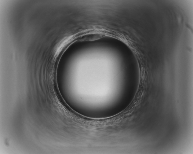 X0000100880007200806201256